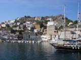 Hydra
